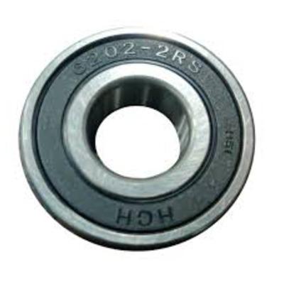 6202 2RS HCH Bearing
